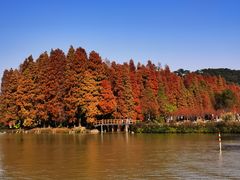 -星湖旅游景区七星岩