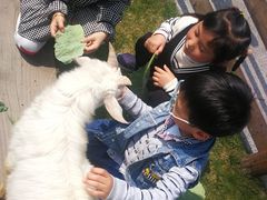 -前小桔亲子创意农场·草莓采摘·露营烧烤