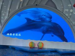 -广州海洋馆