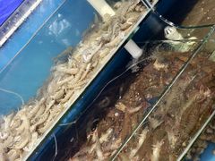-仙螺岛海鲜自助餐厅(总店)