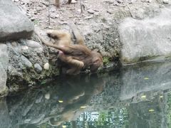 -广州长隆野生动物世界