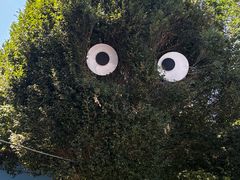 -水上乐园·欢乐世界