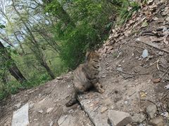 -终南山南五台景区