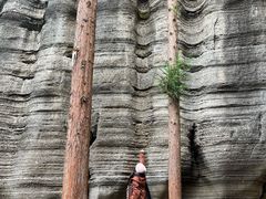 -梭布垭石林景区
