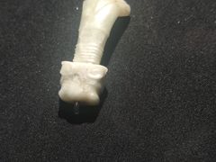 -盘龙城遗址博物院