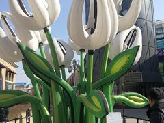 -So Lounge索兰至餐厅(蓝色港湾店)