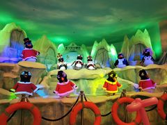 -帝企鹅自助餐厅•儿童岛•真企鹅(长隆企鹅酒店)