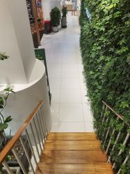 -悦诗风吟innisfree