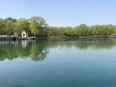-百脉泉景区