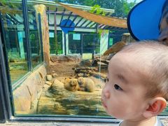 -大连森林动物园