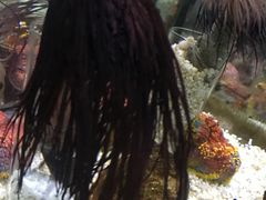 -苏州海洋馆