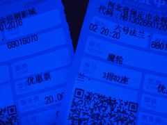 -保定金棕榈先天下国际影城(LUXE)