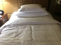 -上海波特曼丽思卡尔顿酒店