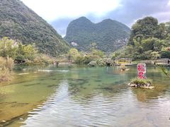 -靖西鹅泉风景区
