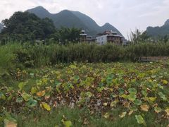 -靖西鹅泉风景区