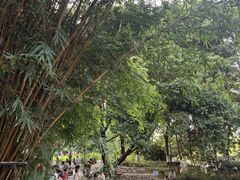 -成都市活水公园