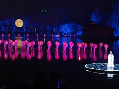-印象西湖·最忆是杭州实景演出
