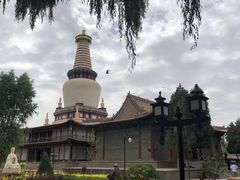 -张掖大佛寺景区