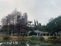 -四海公园(南山区)