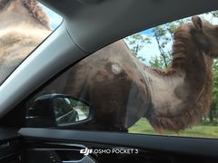 -南京金牛湖风景区