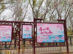 -桃花堤公园
