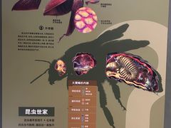 -天津自然博物馆