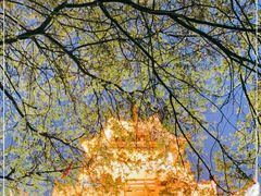 -水濂山森林公园