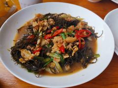 龙须菜-南蚝小贝海鲜特色餐厅(南澳岛店)