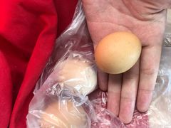 -沈家花园如皋菜(海阳路店)