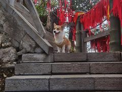 -塔云山
