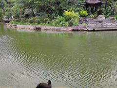 -广州市帽峰山景区