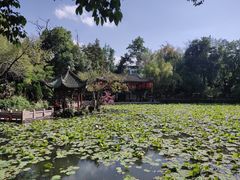 -房湖公园