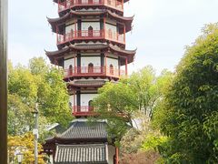 -绳金塔