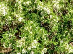 -南戴河国际娱乐中心