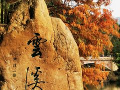 -云溪植物园