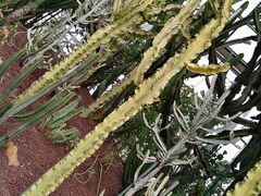 -南通洲际绿博园