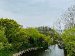 -上海滨江森林公园