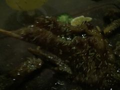 -The Cheebat 锌吧·Bistro(体育西店)