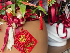 -溪岸路花鸟市场