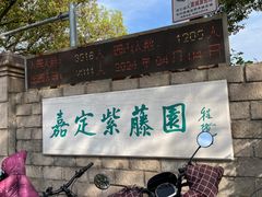 -嘉定紫藤园