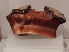 -湖南省地质博物馆