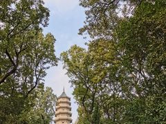 -灵谷景区