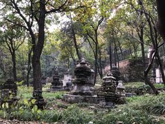 -北京上方山国家森林公园