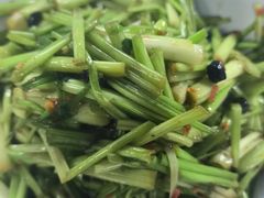 -饭怕鱼(阳光100店)