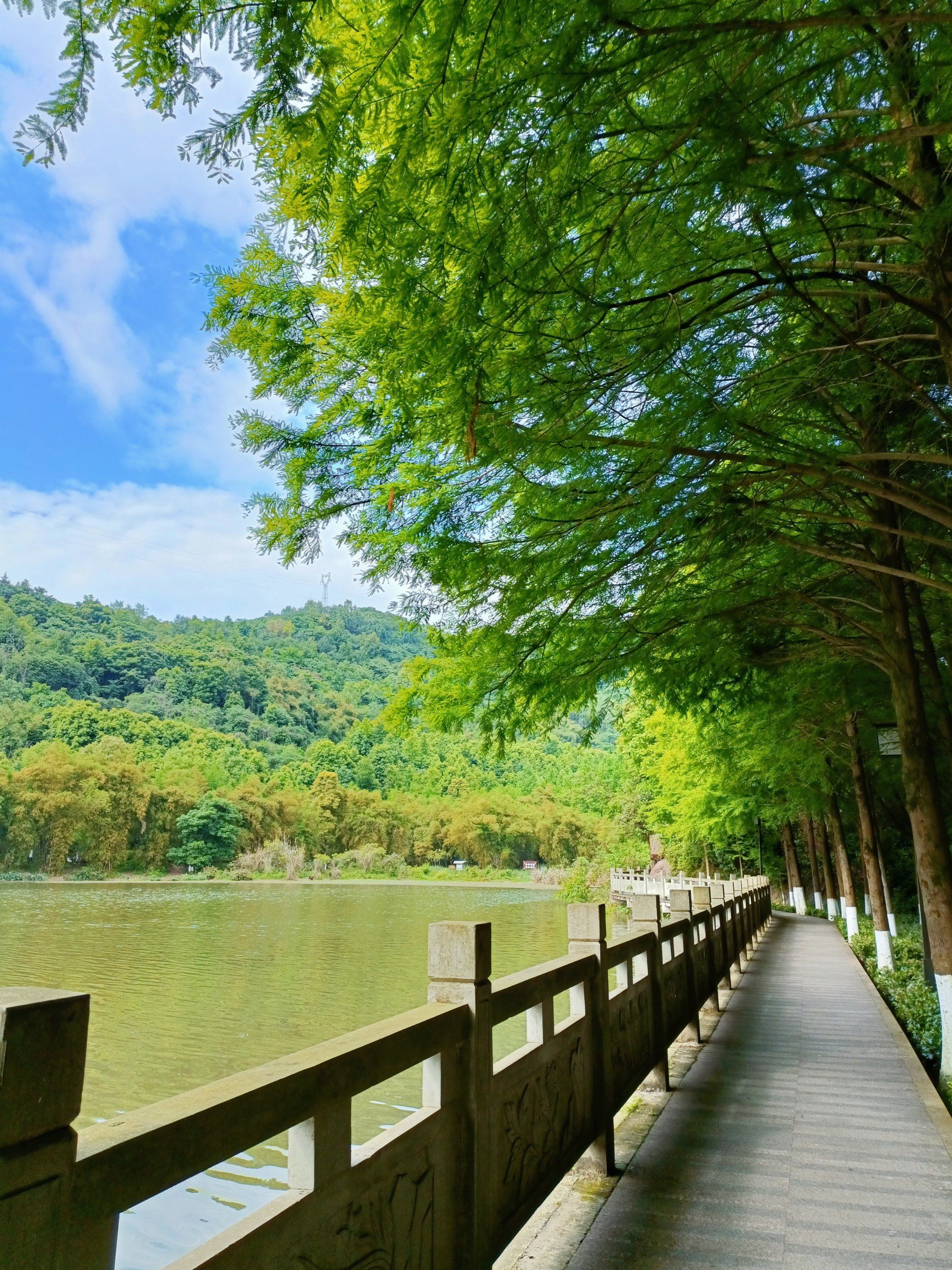 照母山森林公园吸氧半日游