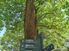 -延安杨家岭革命旧址