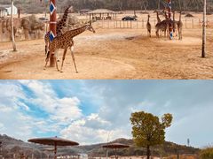 -杭州野生动物世界