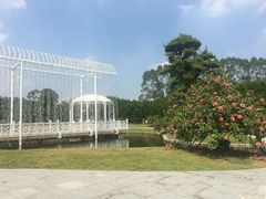 -迪茵湖田家舍生态农场