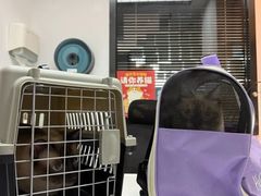 -御宝贝·A梦猫科宠物医院(国际猫友好医院)