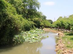 -八大山人梅湖景区